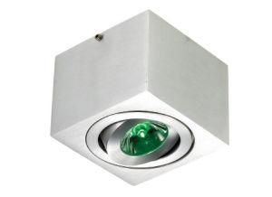 LED Ceiling Lights (LED-201511F)