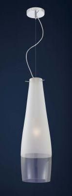 Contemporary Style Pendant Lamp (PD-1329/L)