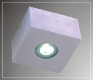 LED Ceiling Lights (LED-201111)