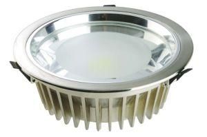 LED Ceiling Light