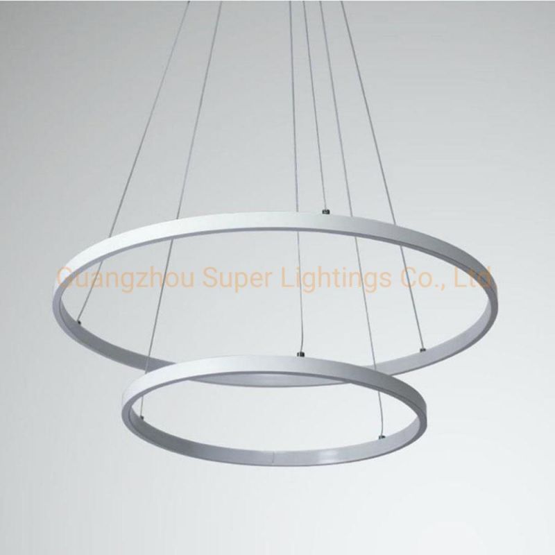 Modern Circular LED Lights for Home Pendant Lighting