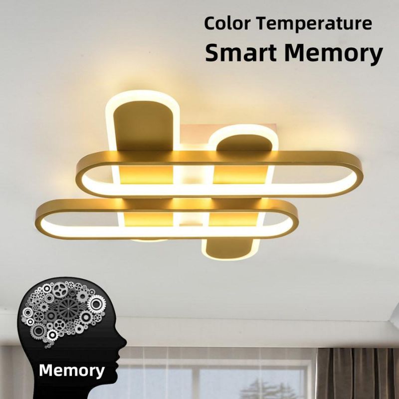 Dimmer Ceiling Lamp Residential Lighting LED Pendant Lamp Chandelier Light