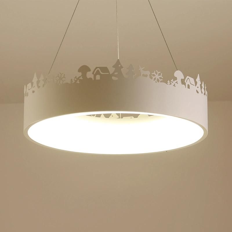 Multi Coloured Pendant Lights for Indoor Home Lighting Fixtures (WH-AP-38)