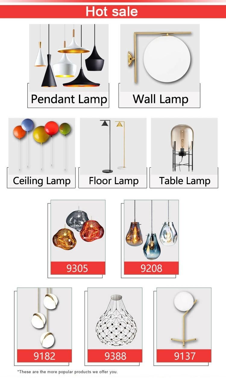 Modern Decorative Project Lighting LED Hanging Lamp
