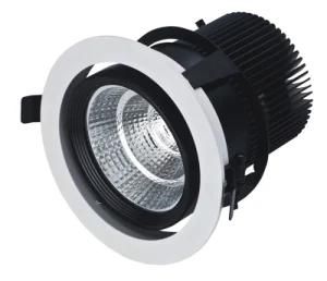 LED Down Light COB 30W LED Down Light