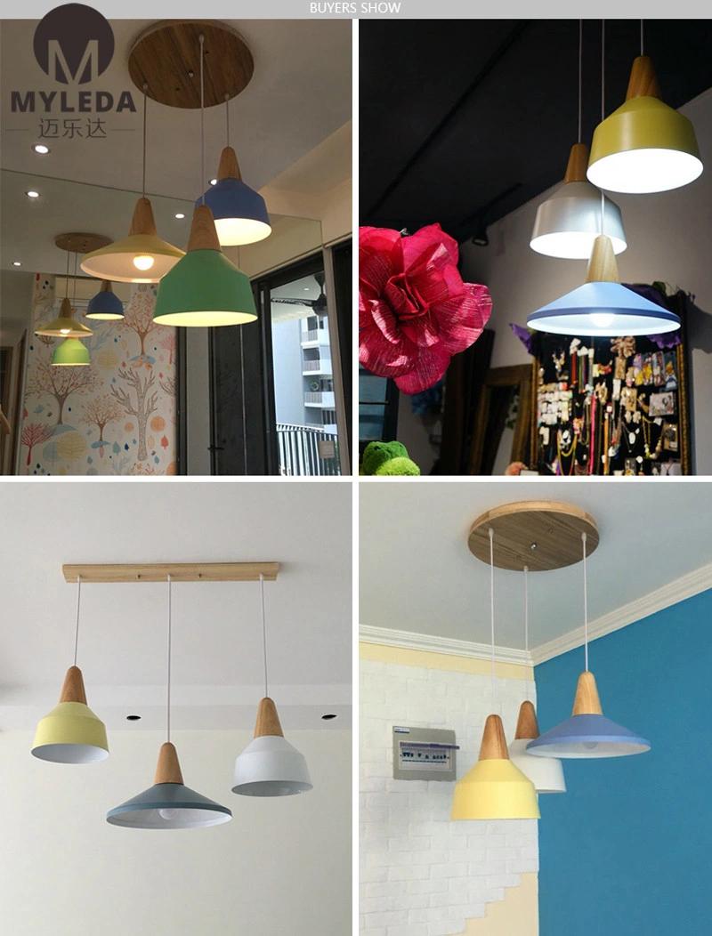 Colorful Hotel Project Decoration LED Pendant Lamp