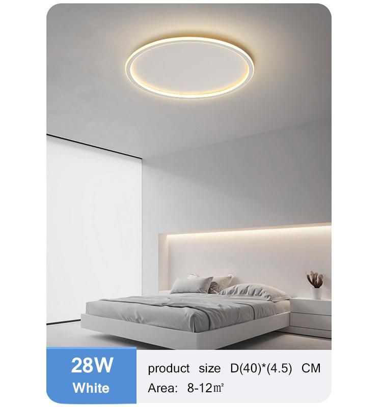 Modern Interior Bedroom Living Room Round LED Ceiling Light