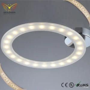 LED Decorative Contemporary Fashion Modern Ceiling Lamp (MX7329)