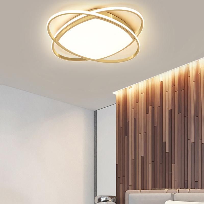 Simple and Modern LED Ceiling Light Household Study Light Living Room Lamp