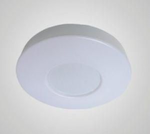 LED Ceiling Light (KL02A007)