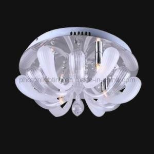 Ceiling Light / Ceiling Lamp (PT-G9 243/4)