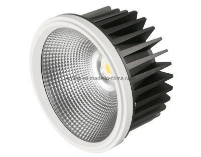 Beam Angle 40 Degree Downlight 27W COB Recessed Downlight AR111 Downlight