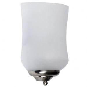 Brushed Nickel Finish/Frosted Acrylic Diffuser Wall Lamp with E26