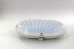 30W/ 40W/ 50W Oval Ceiling Light, IP65/ Ik09, Die-Casting Aluminum, Outdoor Lighting