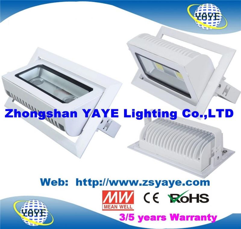 Yaye 18 Hot Sell Bridgelux Chips Meanwell Driver 3/5 Years Waterproof 40W LED Downlight /LED Ceiling Lights