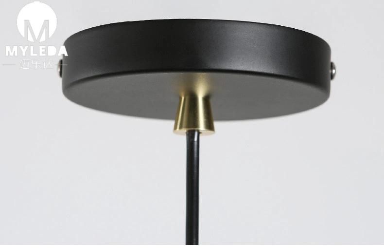 Simple Retro Iron Hanging LED Pendant Lamp