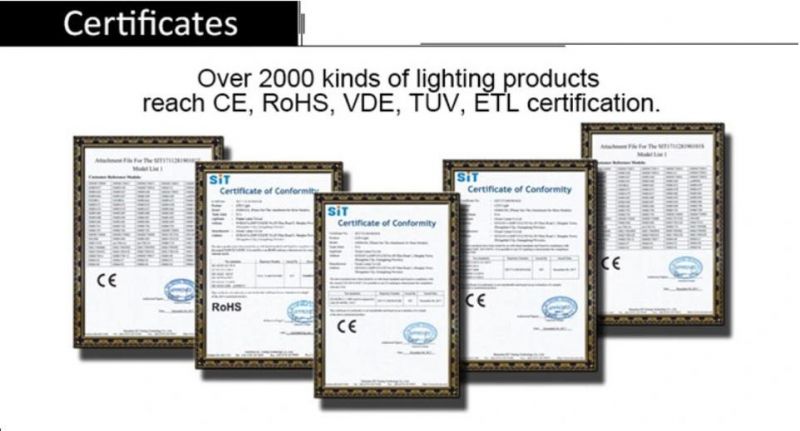 Modern LED Ceiling Lights Manufacturer Modern LED Ceiling Chandelier Light
