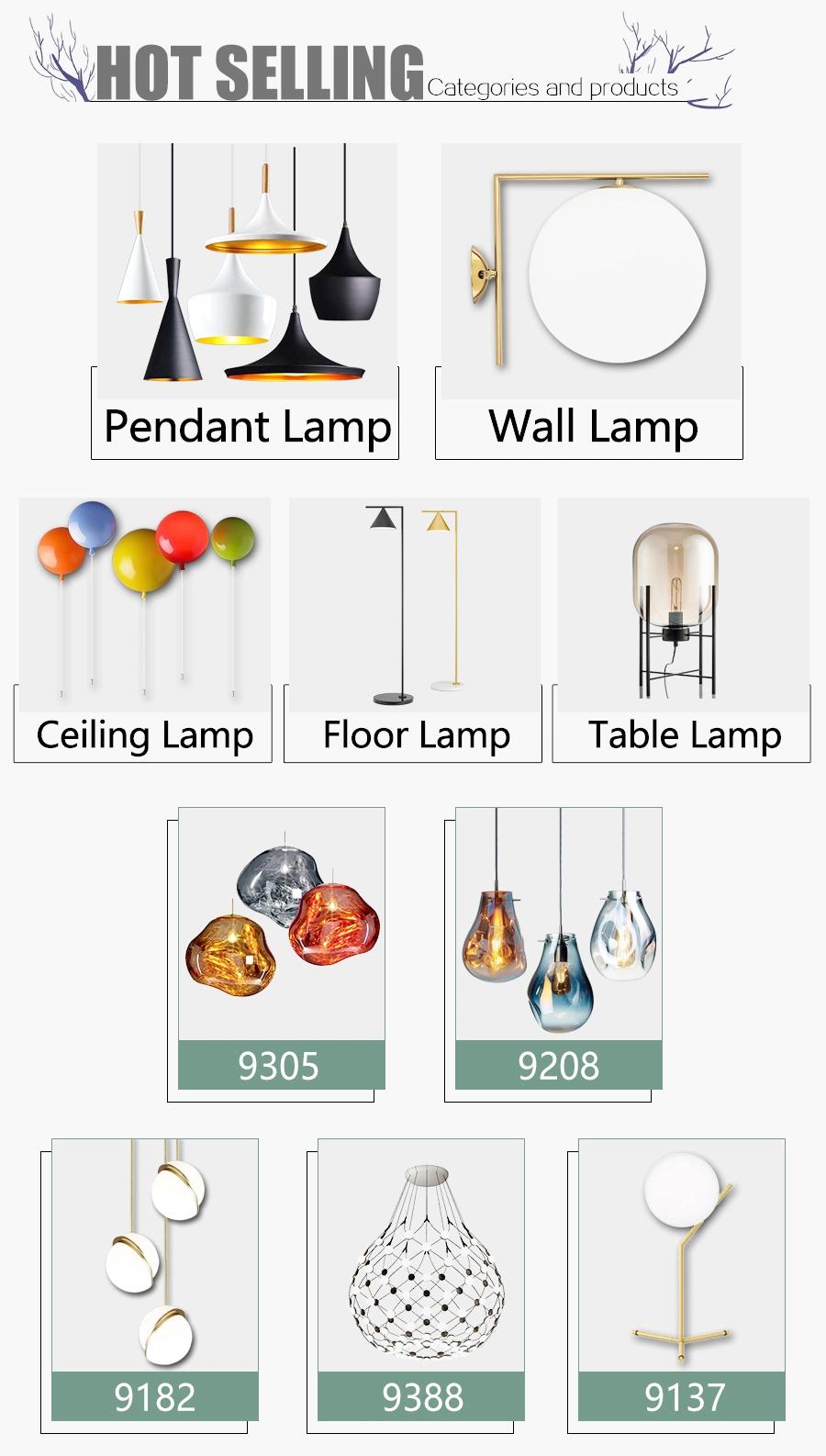 Colorful Modern Kids Room Indoor Ceiling Lamp Decorative House