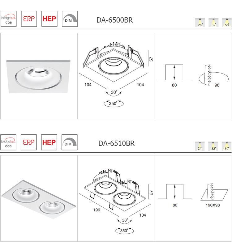 Hot Sale High Brightness White COB 2X13.9W LED Downlight