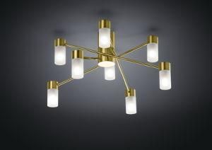 Ceiling Lamp (AN102276)