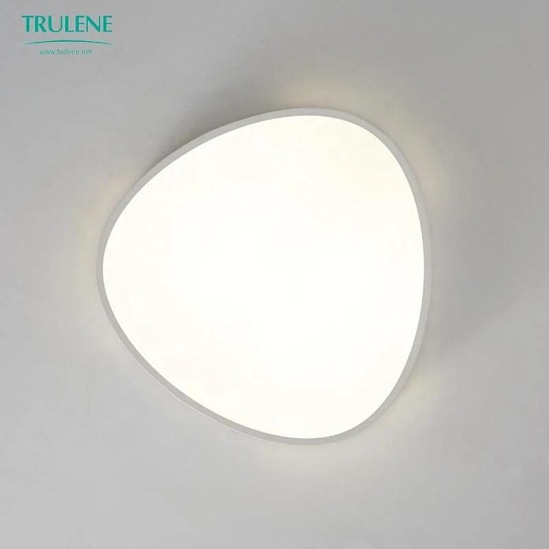 LED Modern Ceiling Light Simplism Type for Home Hotel Lamp