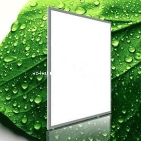 600x600mm 42W LED Panel Light (EX-PL600x600)