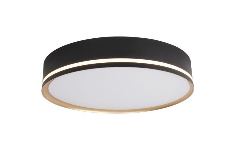 Masivel Lighting Living Room LED Ceiling Light Modern Stylist LED Lighting