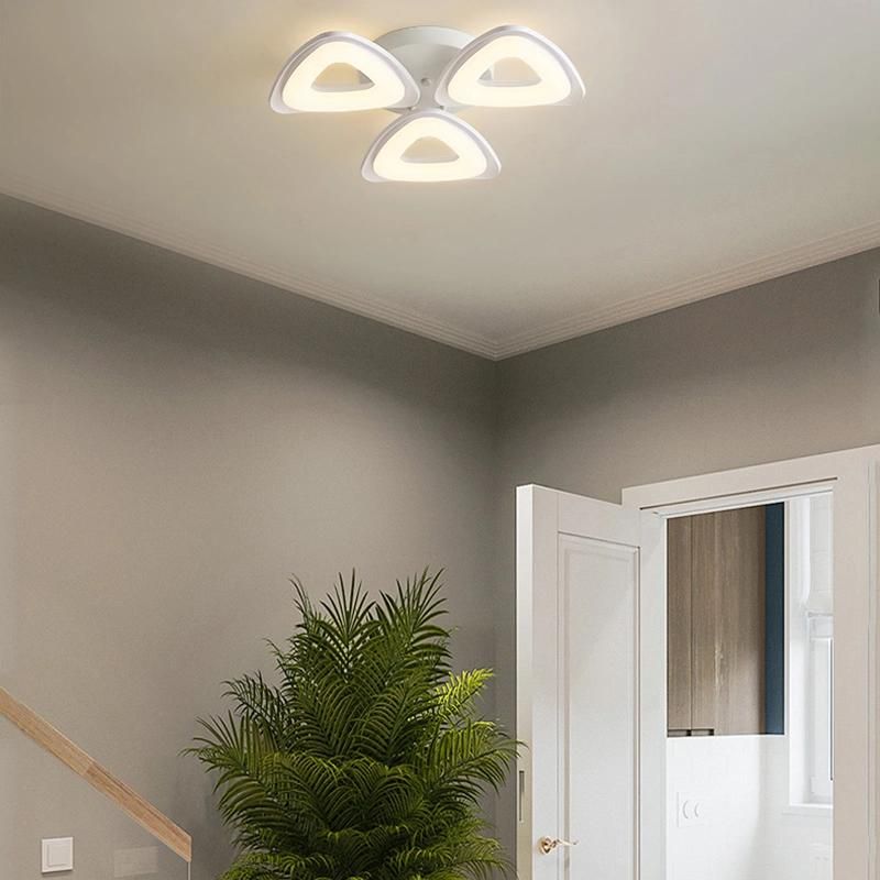 Simple Modern Living Room Lamp Ceiling Light Nordic LED Creative Dining Room Light Bedroom Study Light
