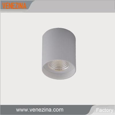C6025 CE Approval Downlight Mounted Surface Ceiling Light