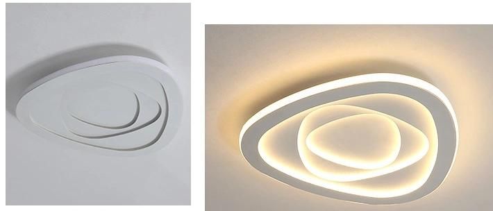 Modern White Energy Saving Round Acrylic LED Ceiling Light Zf-Cl-051