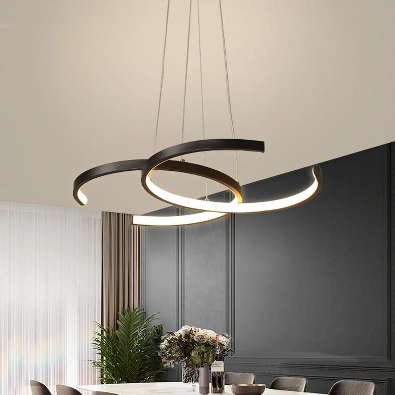 LED Decoration Project Home Deco Acrylic Dining Light Pendant Lighting Illumination for Living Room