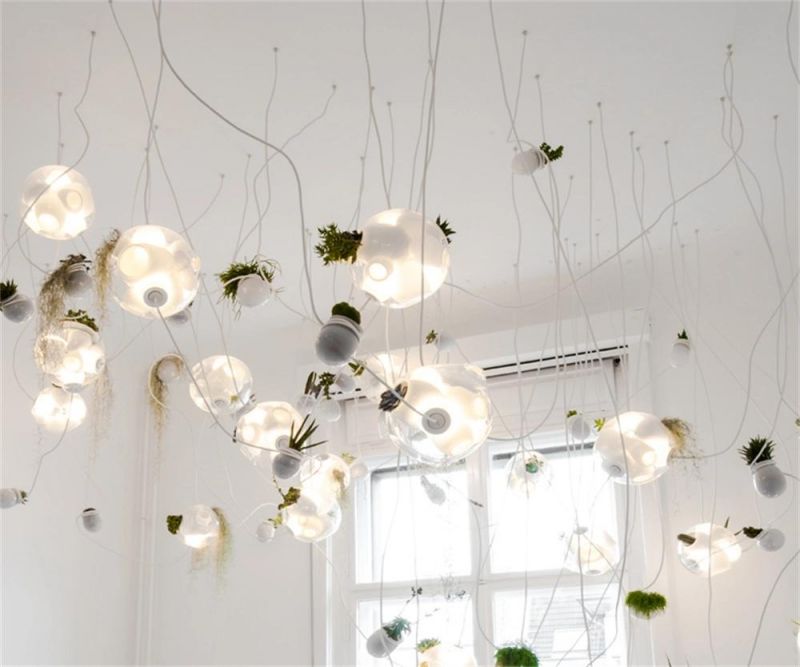 Hanging Glass Round Terrarium for Decoration Clear Glass Hanging Pendant Light