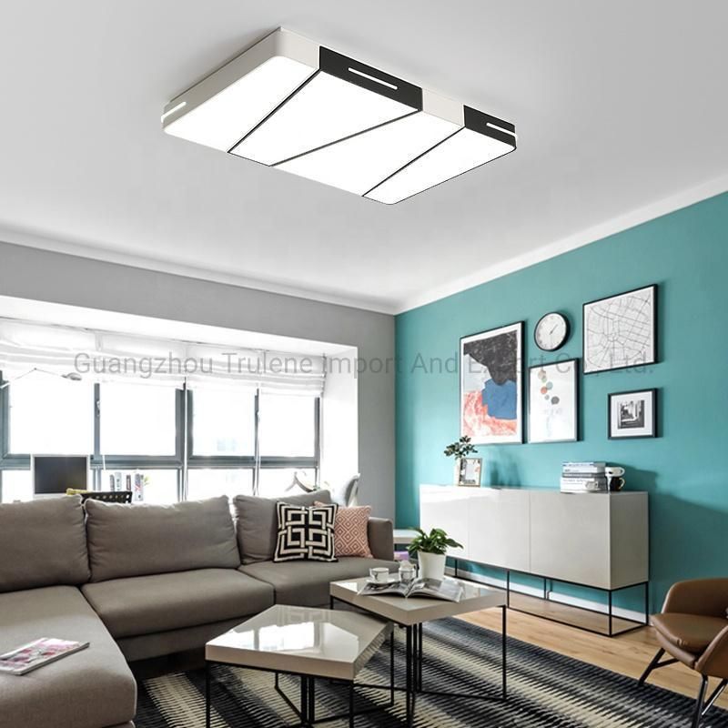Nordic Decorative Ceiling LED Lights Fixture with Remote Control