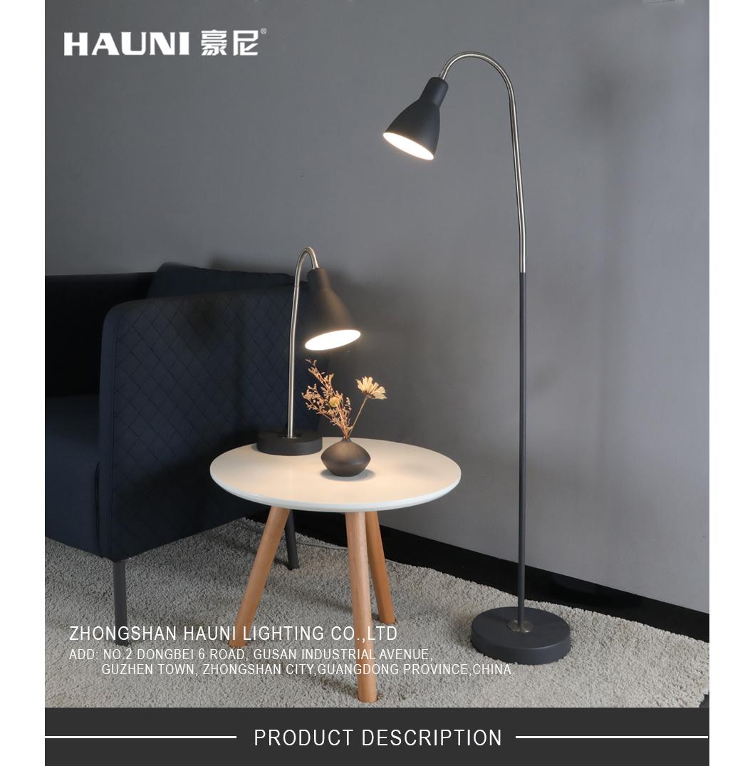Indoor Decorative Modern Standing Simple Nordic Comtemporary Metal Floor Lamp