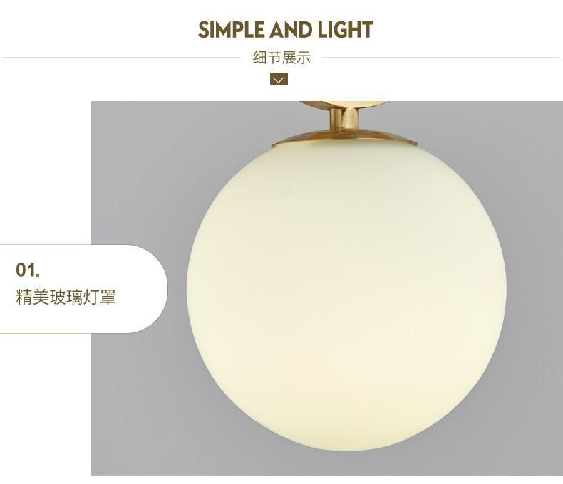 Modern Golden Pendant Lights Bedroom Decor Borgny Oval Ring Frosted Glass Globe Pendant Light (WH-AP-298)