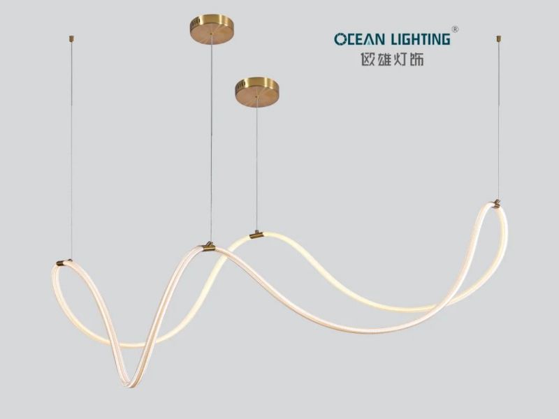 Modern Simple PVC Iron Tube Ring 80W Modern LED Chandeliers