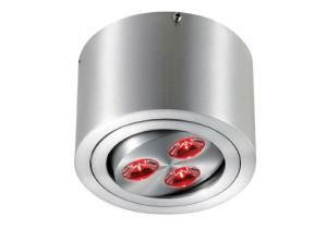 LED Ceiling Lights (LED-201711Y)