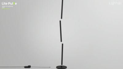 Ilightsin Detachable RGBW 12W Night Spirit Hotel Background Lighting LED Floor Lamp