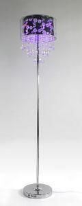 Floor Lamp (KM-F42)