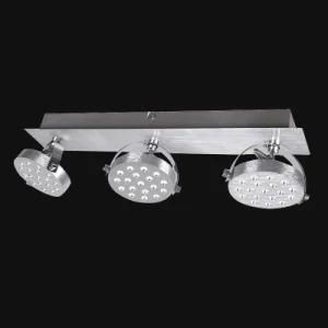 LED Ceiling Light/LED Ceiling Lamp/LED Light (PT-LED 229/12W)