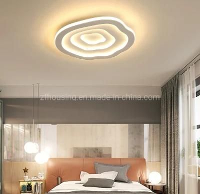 Modern White Energy Saving Round Acrylic LED Ceiling Light Zf-Cl-051