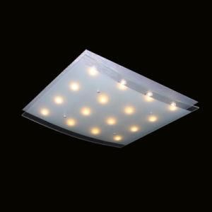 LED Ceiling Light/COB LED Ceiling Light/