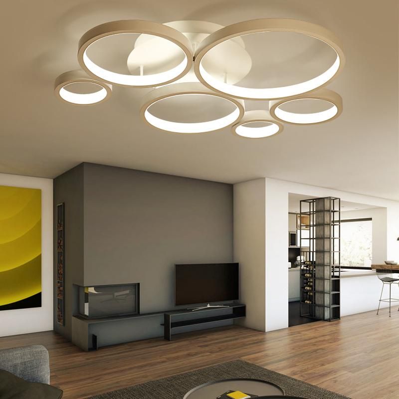 Simple Modern Creative and Individual LED Ceiling Light Household Circle Living Room Lamp