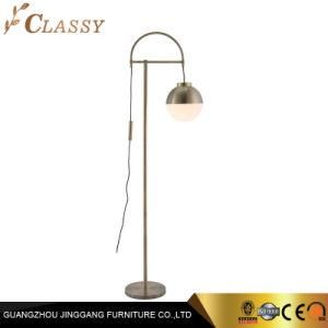 Metal Stainless Steel Floor LED Lamp Ball for Living Room or Bedroom