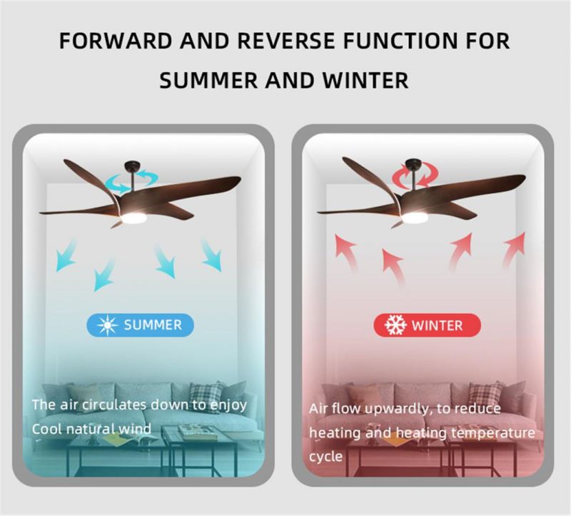 Hot Sale DC Fan 5 Fan Speed 5 Blades Ceiling Fan Light LED