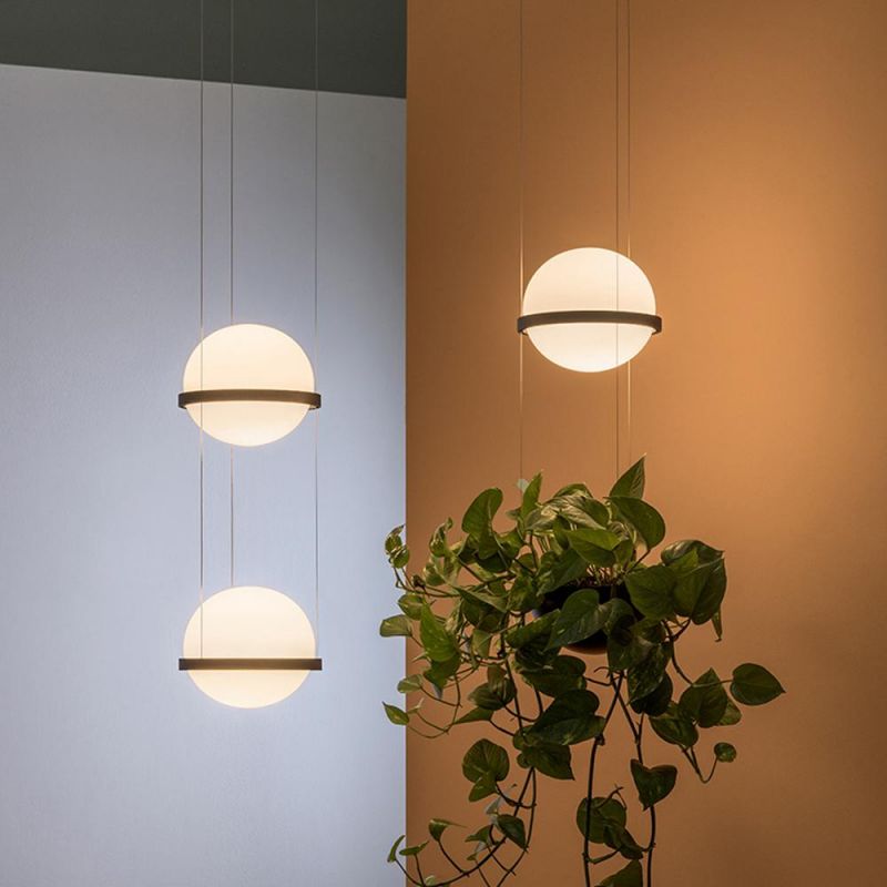 Plant Pendant Lights Modern Long Cord Plants Deco Chandelier Hanging Glass Ball Light (WH-GP-50)