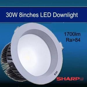 LED Down Lamps 30W