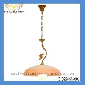 2014 Hot Sale Pendant Lamp CE, VDE, RoHS, UL Certification (S-MD1218067)
