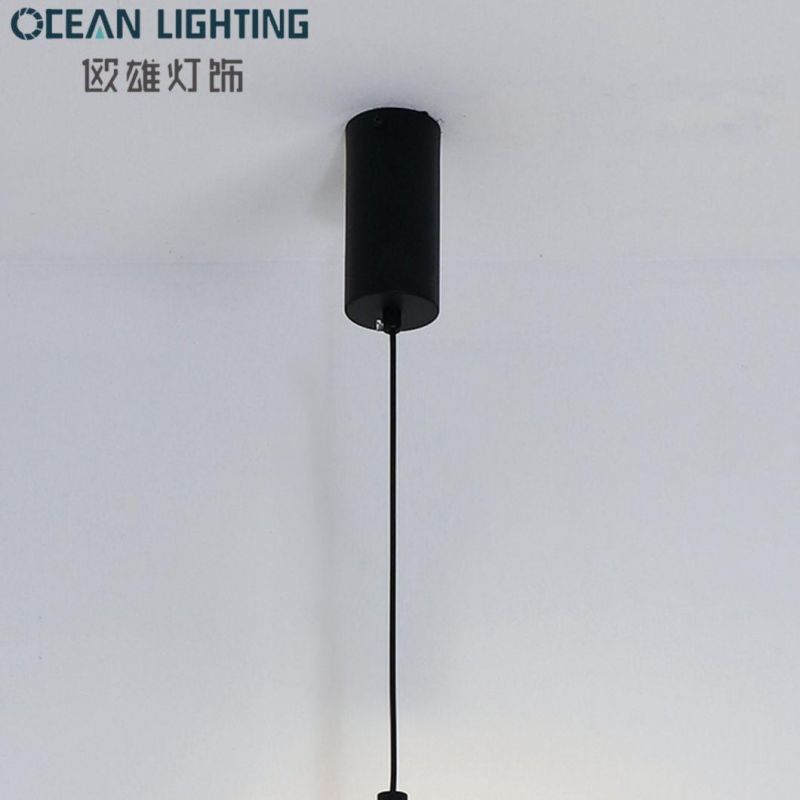 LED Modern Simple 800mm Black Aluminum 9W House Pendant Light