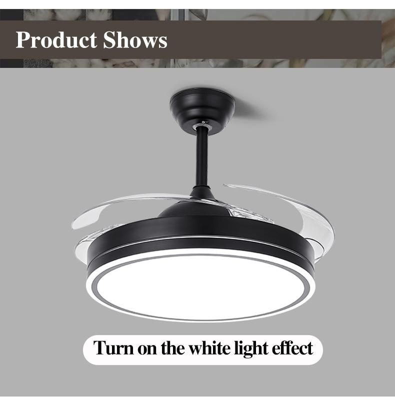 42" Modern Decorative Wholesale Invisible Blade Ceiling Fan Lamp